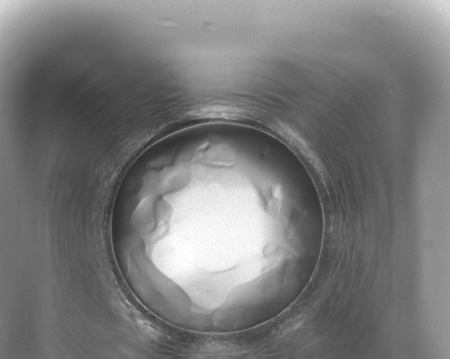 X0000071380529200606301812