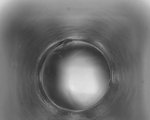 X0000071380531200606301812