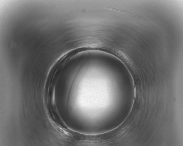 X0000071380532200606301812