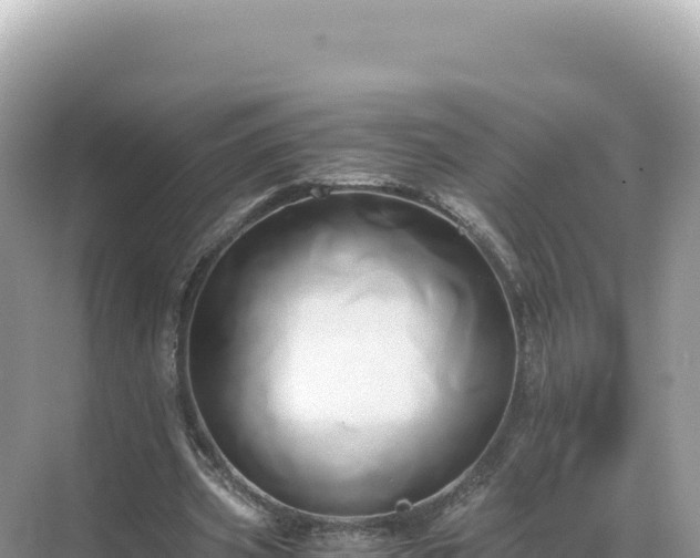 X0000071380533200606301812