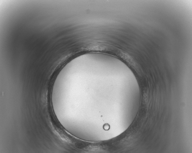 X0000071380534200606301812