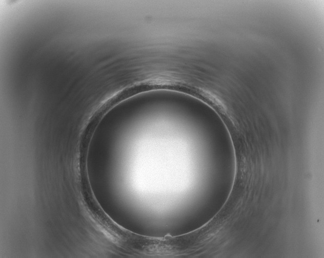 X0000071380535200606301812