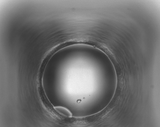 X0000071380536200606301812