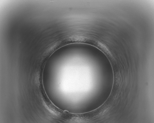 X0000071380538200606301812