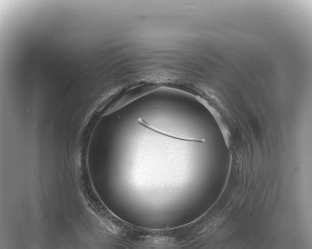 X0000071380539200606301812