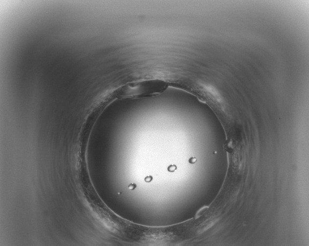 X0000071380540200606301812