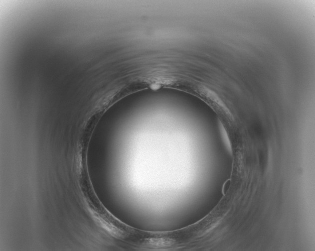 X0000071380541200606301812