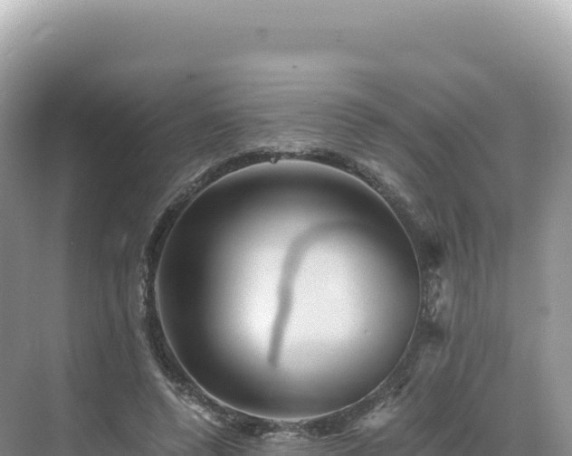 X0000071380544200606301812