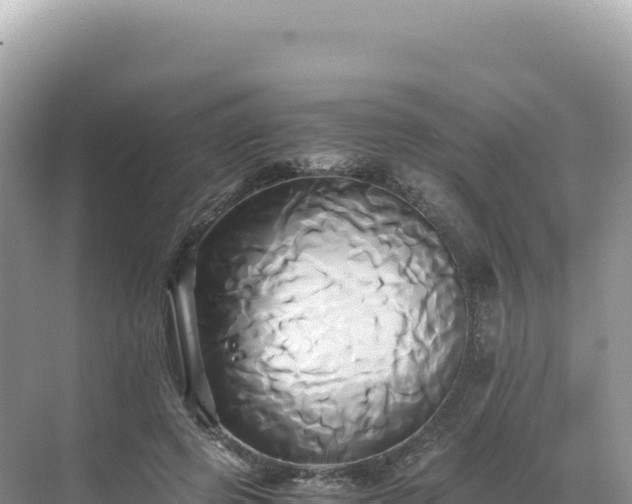 X0000071380545200606301812