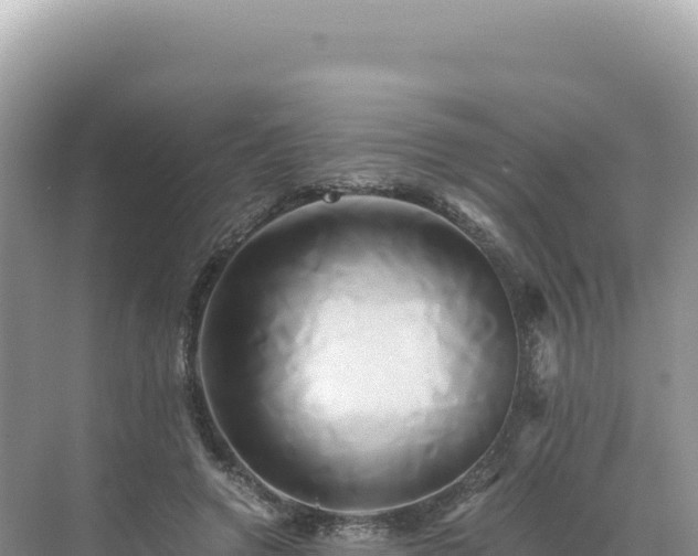 X0000071380546200606301812