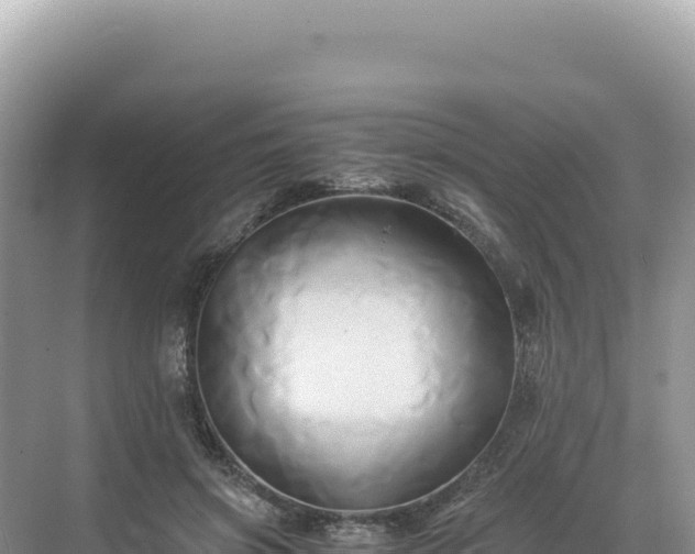 X0000071380549200606301812