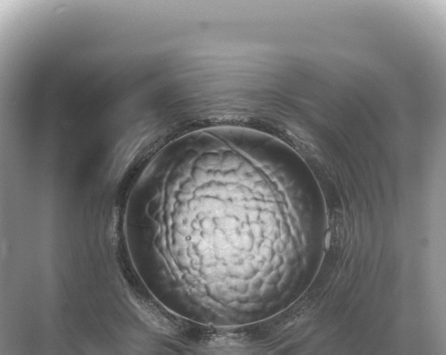 X0000071380550200606301812