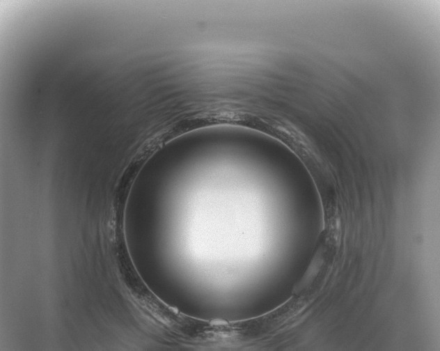 X0000071380552200606301812