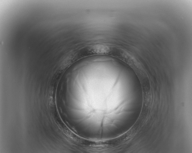 X0000071380553200606301812