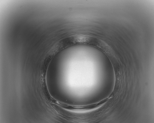 X0000071380555200606301812