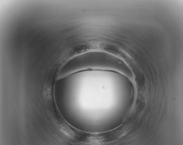 X0000071380556200606301812