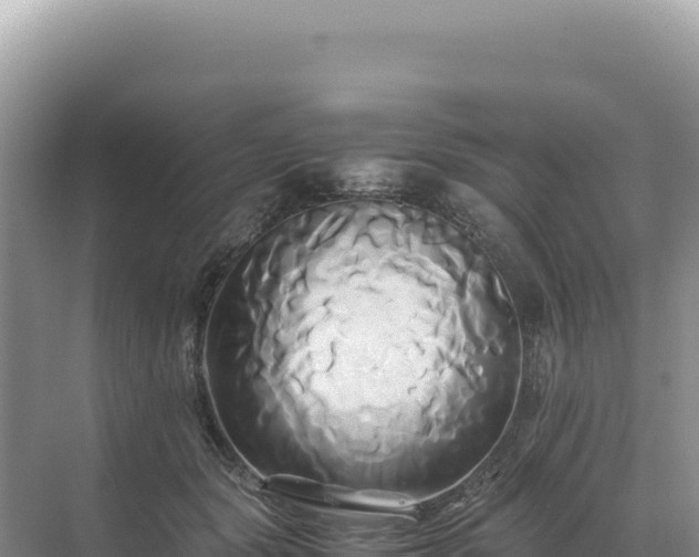 X0000071380557200606301813