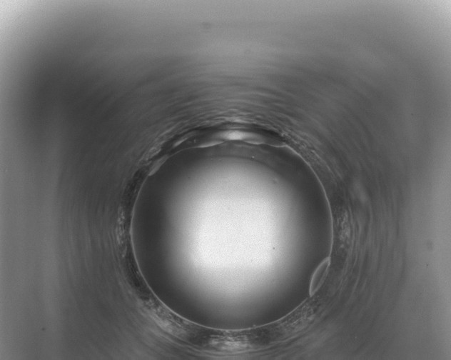 X0000071380559200606301813