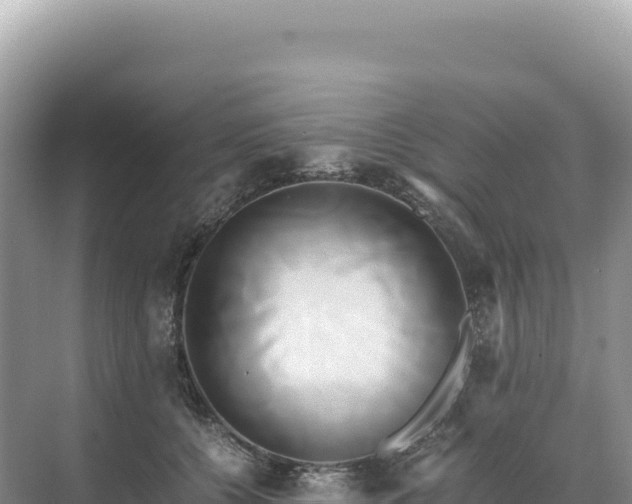 X0000071380560200606301813