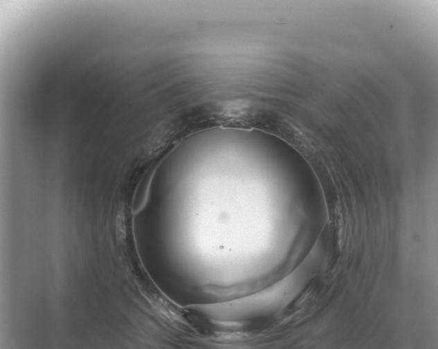 X0000071380562200606301813