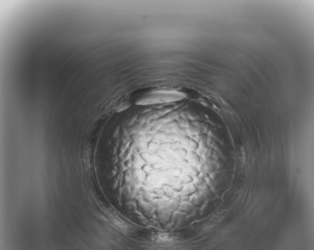 X0000071380565200606301813