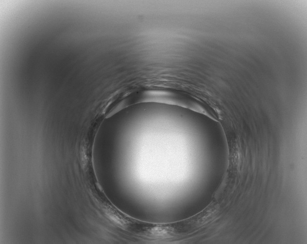 X0000071380566200606301813