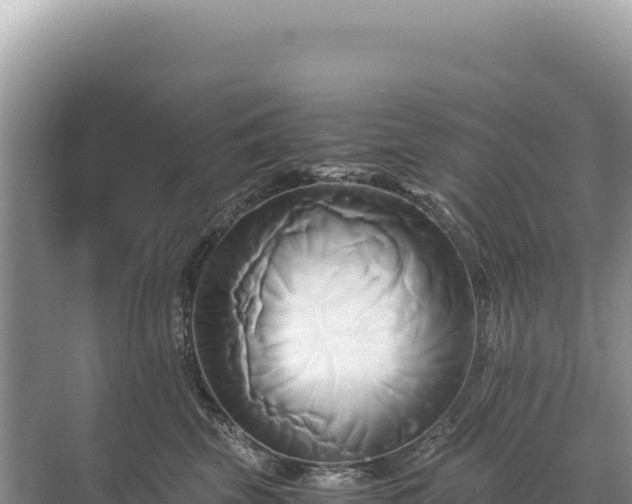 X0000071380569200606301813