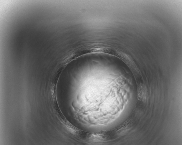 X0000071380573200606301813