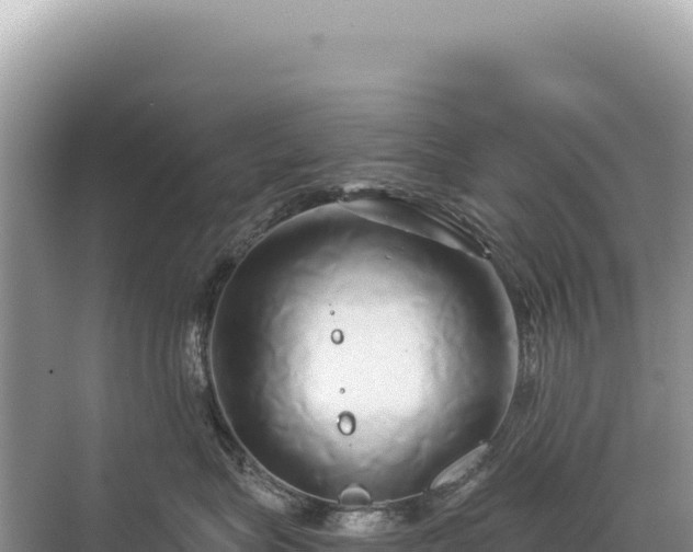 X0000071380575200606301813