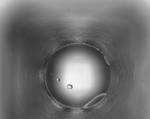 X0000071380576200606301813