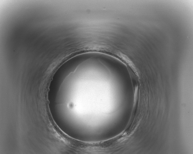 X0000071380577200606301812