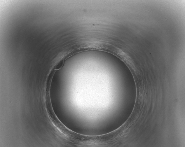 X0000071380578200606301812