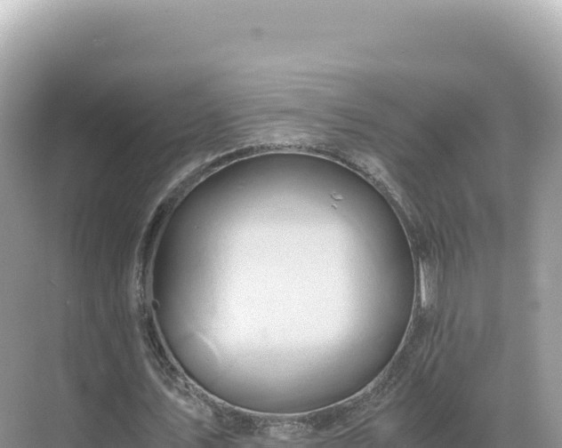 X0000071380579200606301812