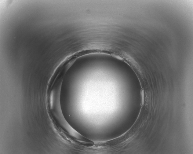 X0000071380580200606301812