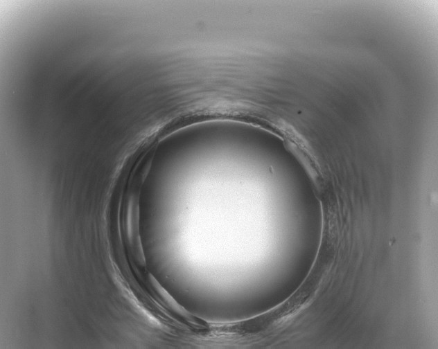 X0000071380581200606301812