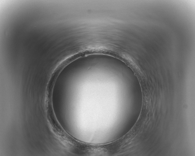 X0000071380583200606301812