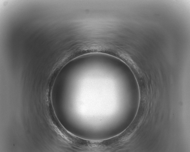 X0000071380585200606301812