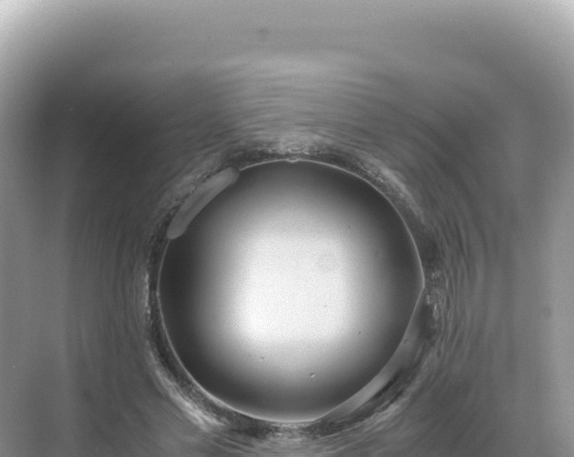 X0000071380589200606301812