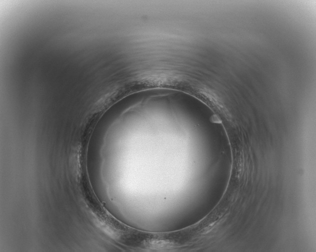 X0000071380590200606301812