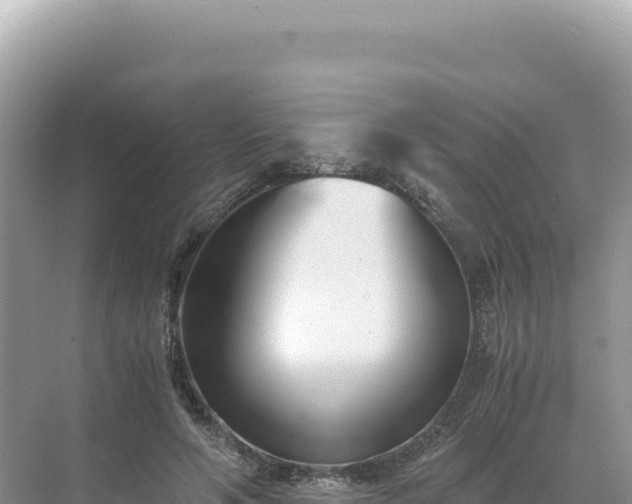 X0000071380594200606301812