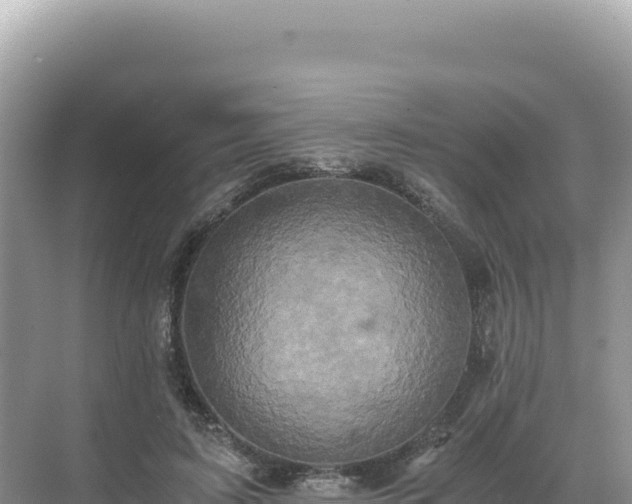 X0000071380595200606301812