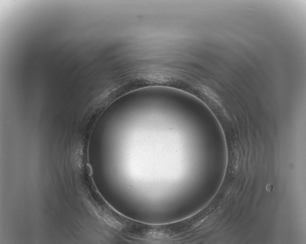 X0000071380596200606301812