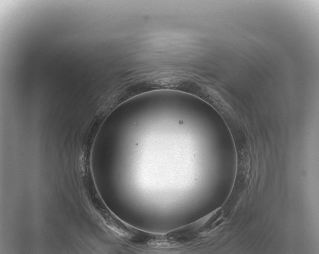 X0000071380597200606301812