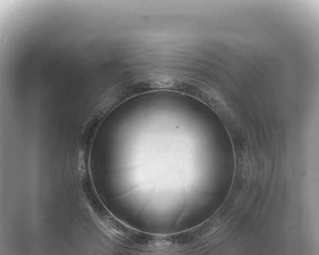 X0000071380598200606301812