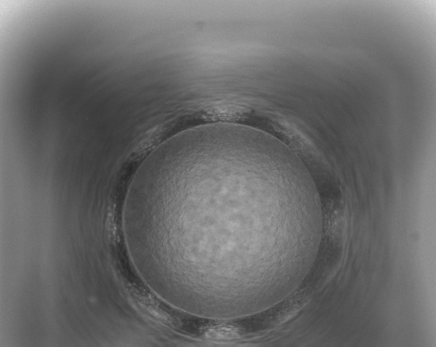 X0000071380599200606301812