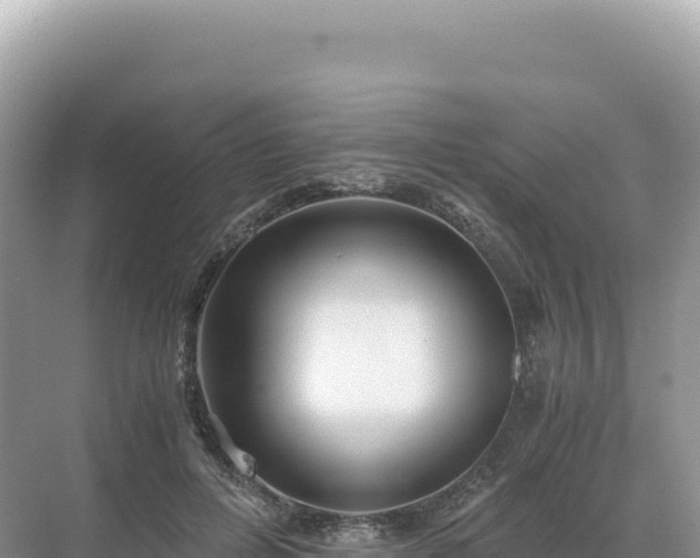 X0000071380600200606301812