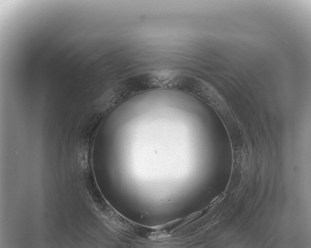 X0000071380602200606301812