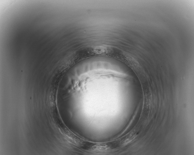 X0000071380606200606301812