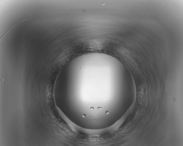 X0000071380608200606301812