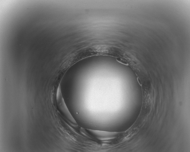 X0000071380609200606301811